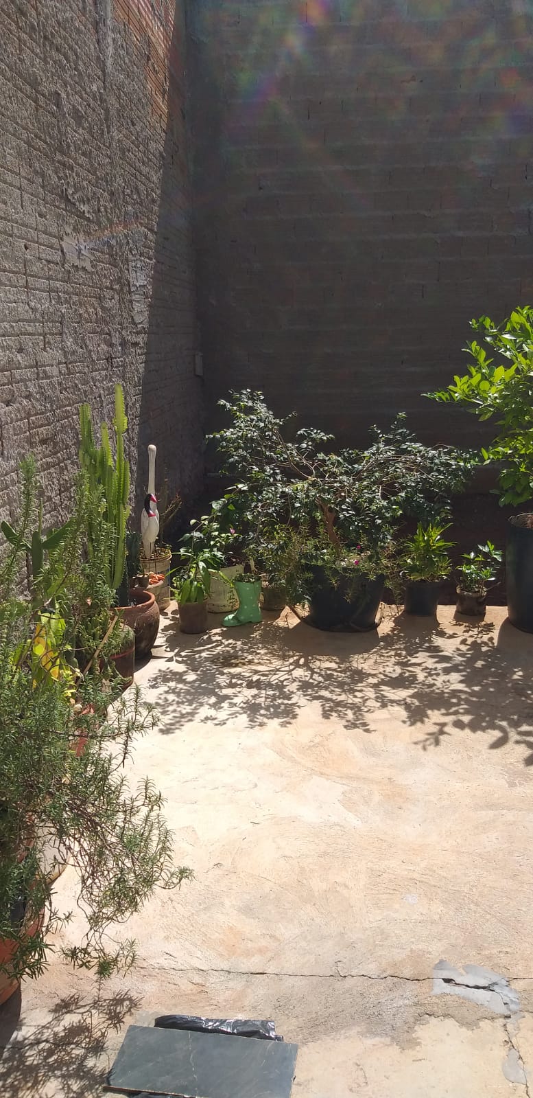 VENDO CASA NO MALAGOLI