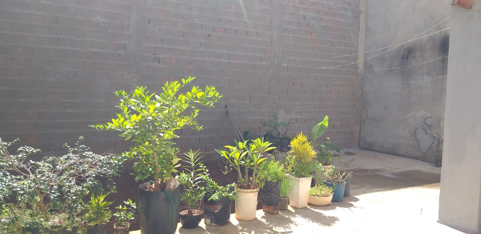 VENDO CASA NO MALAGOLI