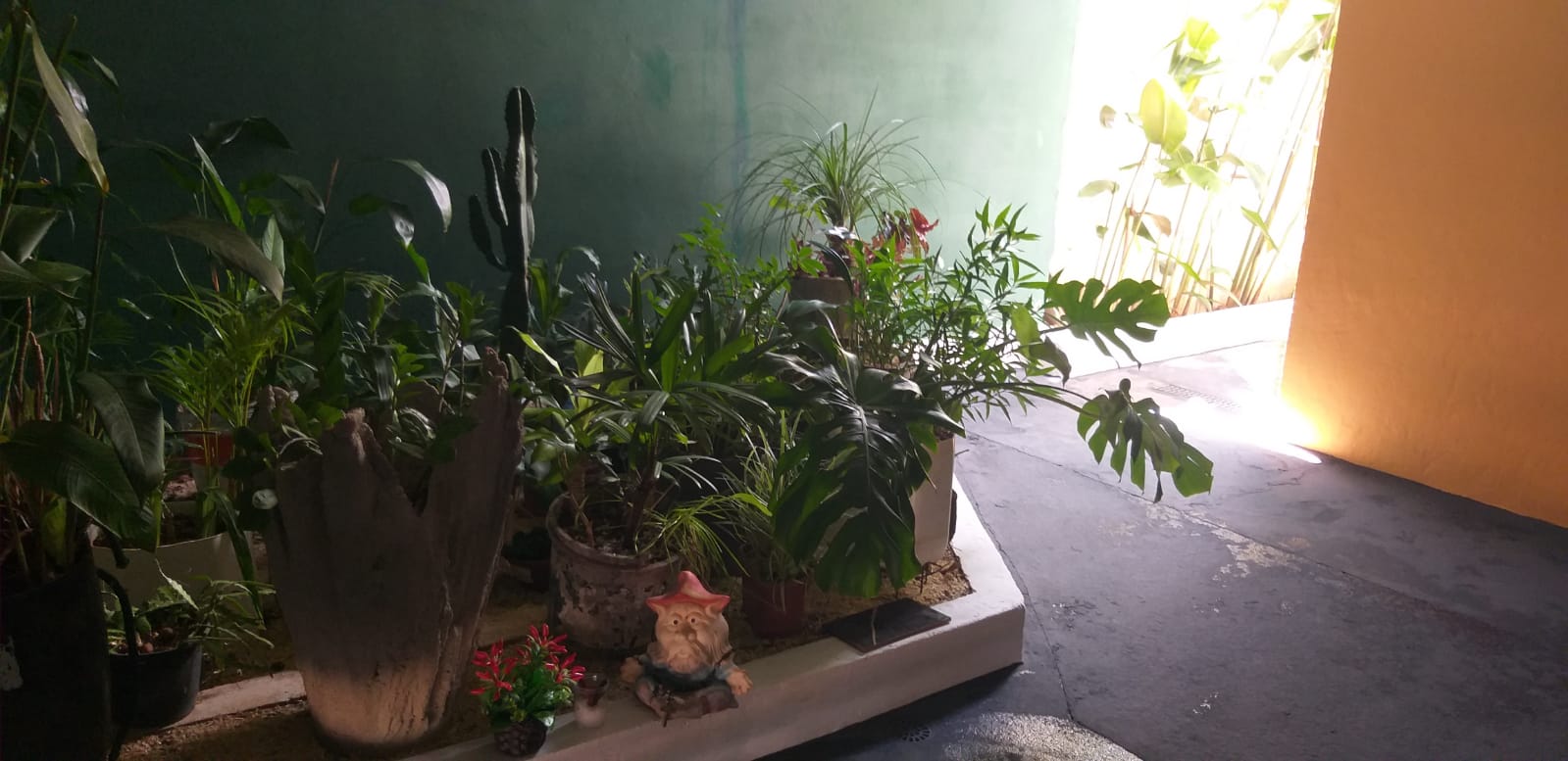 VENDO CASA NO MALAGOLI