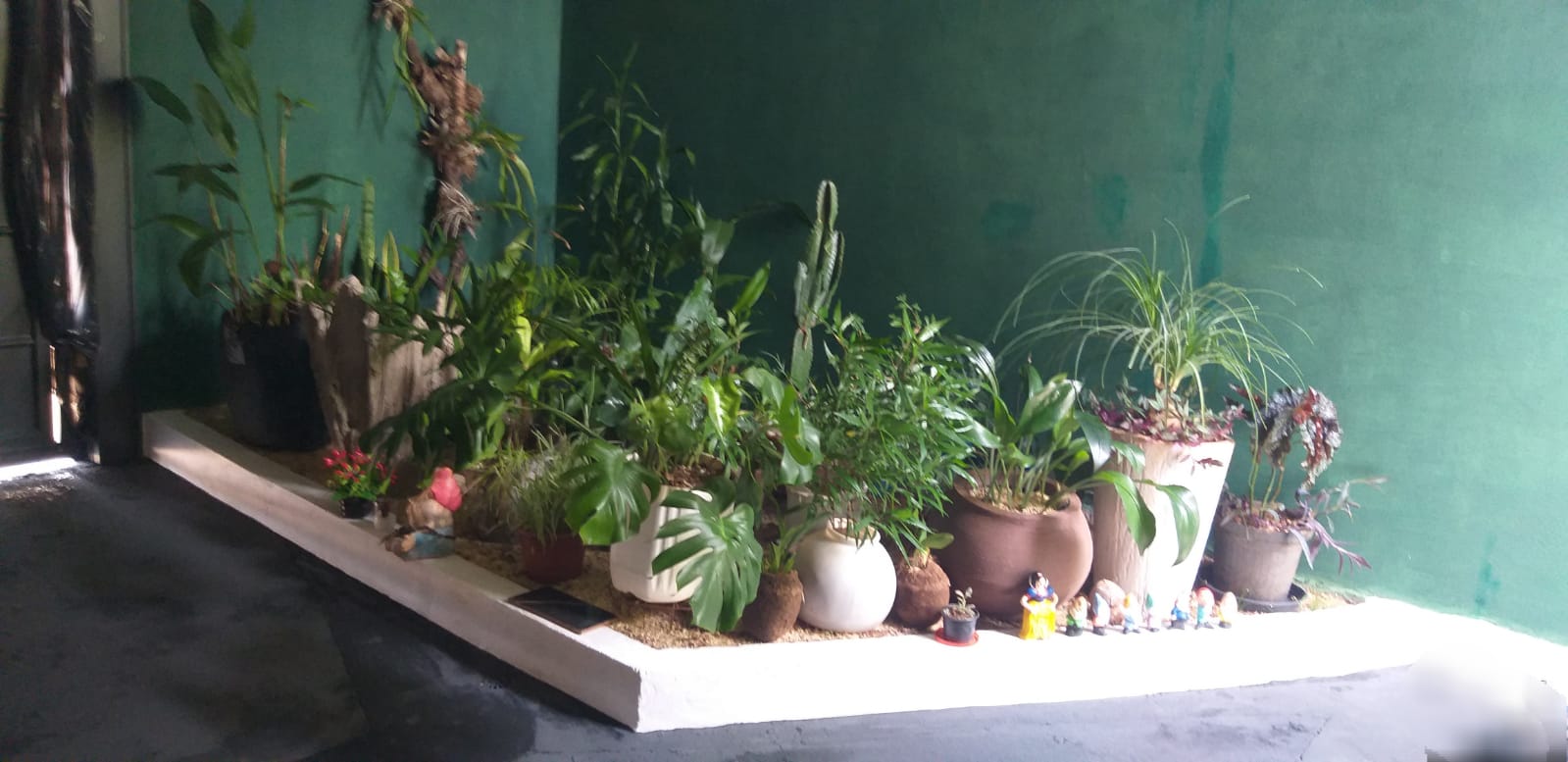 VENDO CASA NO MALAGOLI