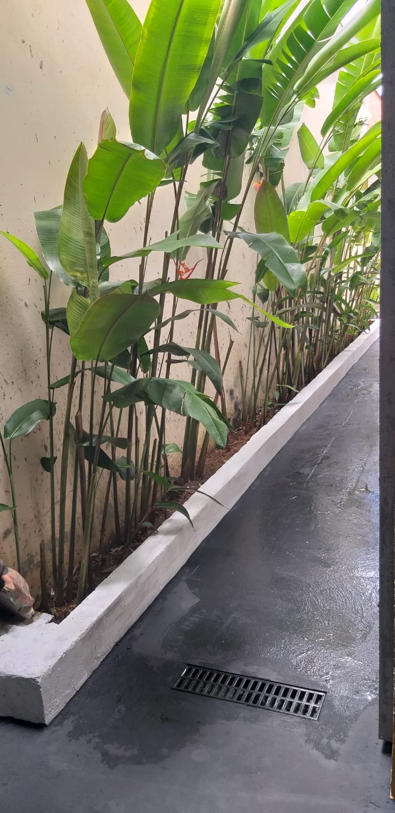 VENDO CASA NO MALAGOLI